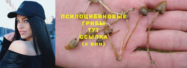 PSILOCYBIN Володарск