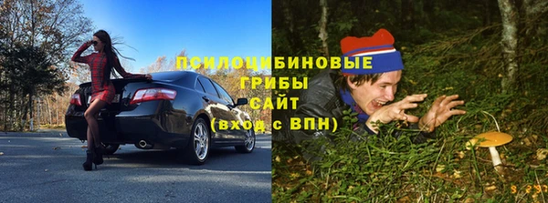 каннабис Алзамай
