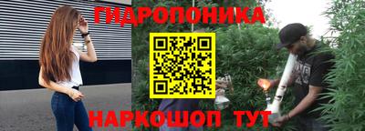 шишки Ирбит