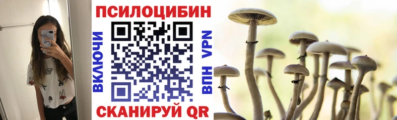 где продают   блэк спрут ССЫЛКА  Псилоцибиновые грибы Psilocybine cubensis  Лесосибирск 